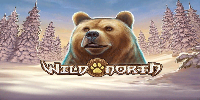 Strategi Santai Menjaga Alur Slot Wild North